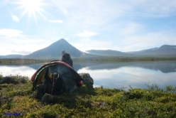 WaldZauber im Fjäll