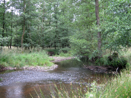 Reise zum Fluss der Zeit