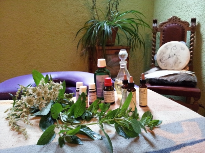 Kräuter, Homöopathie,Massage, Schamanische Beratung 