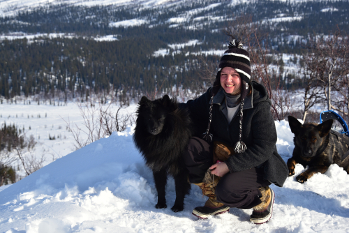 Wanderung im Sarek, Schwedisch Lappland 2016